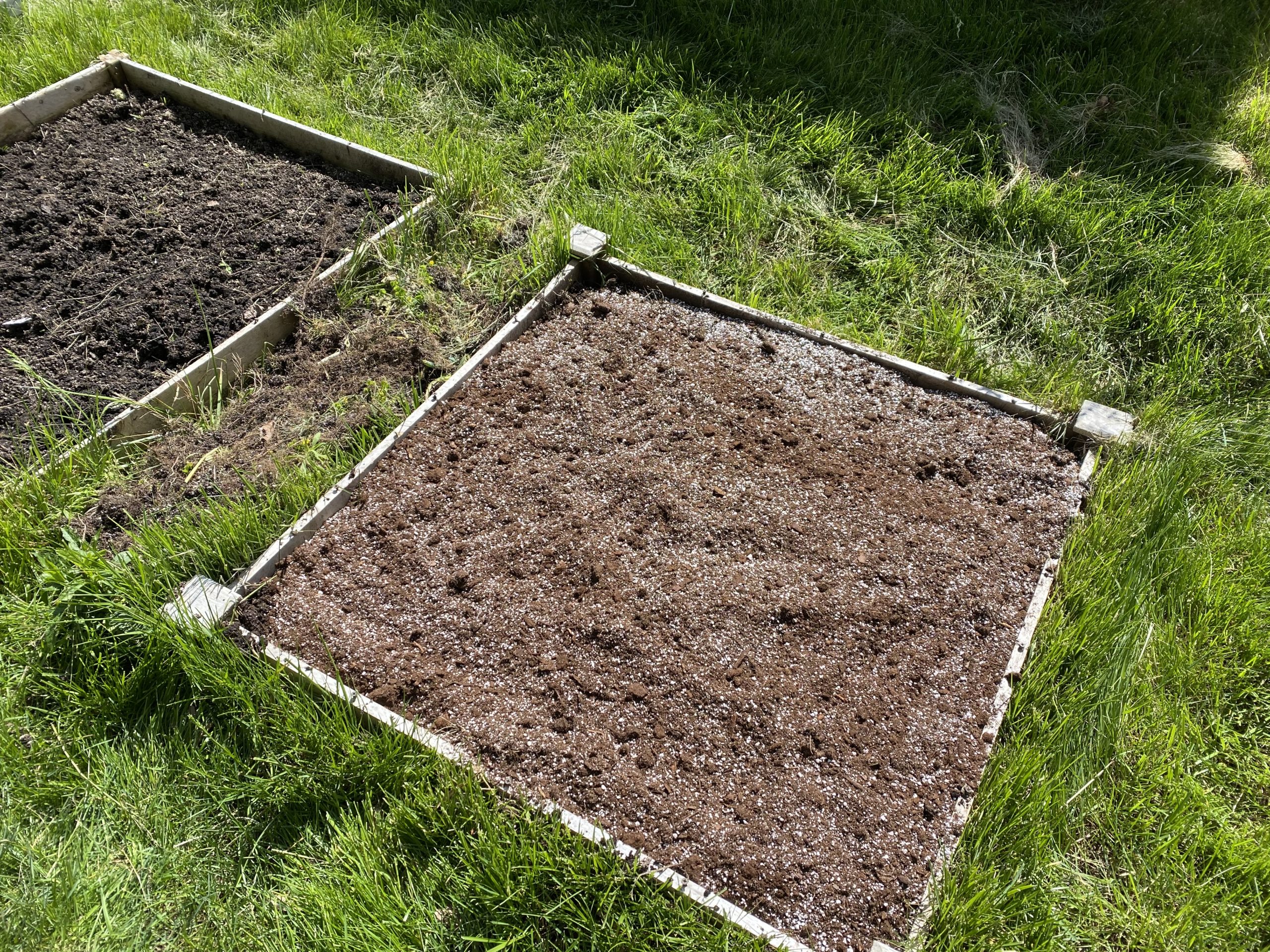 Raised Bed Plan - Rocket, Spinach, Radish, Broccoli and Red Cabbage •  Vegocracy