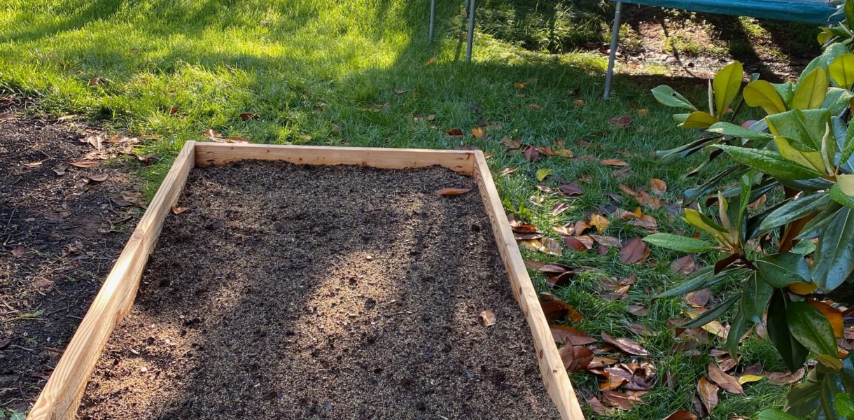 Raised Garden Box with Morning Sun