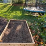 Raised Garden Box with Morning Sun