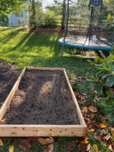 Raised Garden Box with Morning Sun