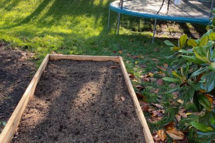 Raised Garden Box with Morning Sun