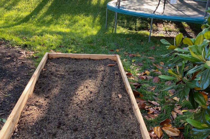 Raised Garden Box with Morning Sun