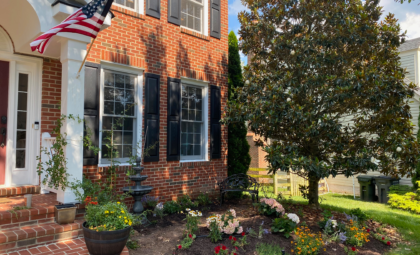 Front flower bed with hydrangeas, Russian sage and roses