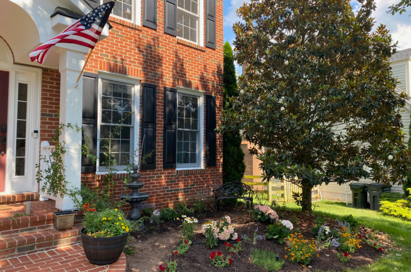 Front flower bed with hydrangeas, Russian sage and roses